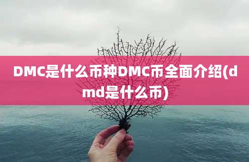 DMC是什么币种DMC币全面介绍(dmd是什么币)