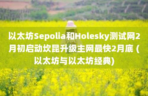 以太坊Sepolia和Holesky测试网2月初启动坎昆升级主网最快2月底 (以太坊与以太坊经典)