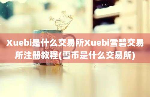 Xuebi是什么交易所Xuebi雪碧交易所注册教程(雪币是什么交易所)