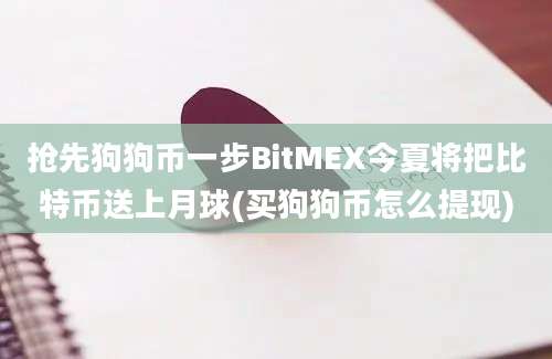 抢先狗狗币一步BitMEX今夏将把比特币送上月球(买狗狗币怎么提现)