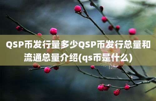 QSP币发行量多少QSP币发行总量和流通总量介绍(qs币是什么)