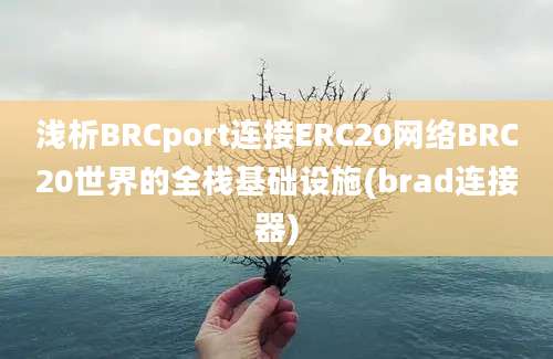 浅析BRCport连接ERC20网络BRC20世界的全栈基础设施(brad连接器)