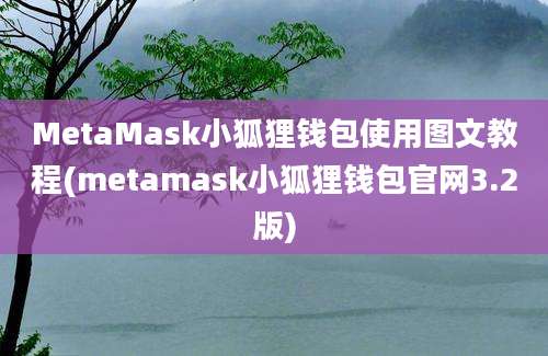 MetaMask小狐狸钱包使用图文教程(metamask小狐狸钱包官网3.2版)