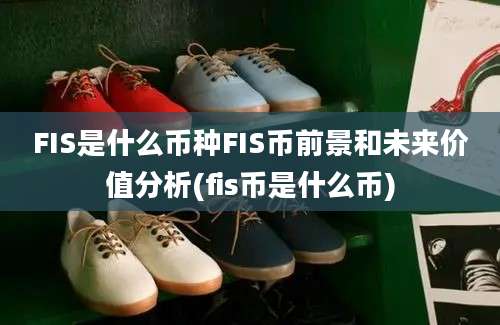 FIS是什么币种FIS币前景和未来价值分析(fis币是什么币)