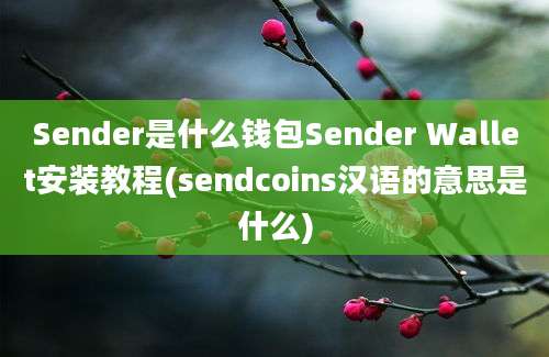 Sender是什么钱包Sender Wallet安装教程(sendcoins汉语的意思是什么)