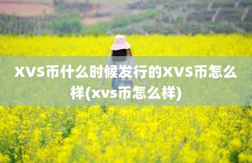 XVS币什么时候发行的XVS币怎么样(xvs币怎么样)