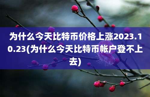 为什么今天比特币价格上涨2023.10.23(为什么今天比特币帐户登不上去)