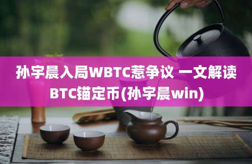 孙宇晨入局WBTC惹争议 一文解读BTC锚定币(孙宇晨win)