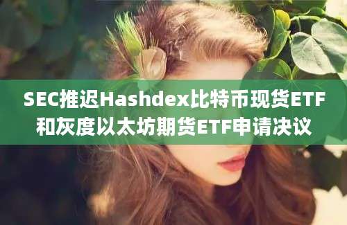 SEC推迟Hashdex比特币现货ETF和灰度以太坊期货ETF申请决议