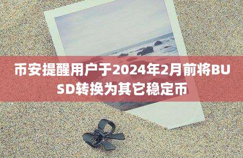 币安提醒用户于2024年2月前将BUSD转换为其它稳定币