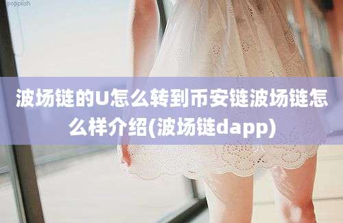 波场链的U怎么转到币安链波场链怎么样介绍(波场链dapp)