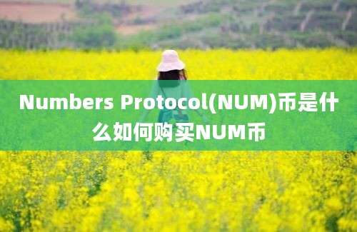 Numbers Protocol(NUM)币是什么如何购买NUM币