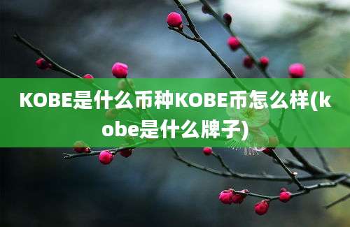 KOBE是什么币种KOBE币怎么样(kobe是什么牌子)