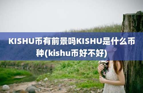 KISHU币有前景吗KISHU是什么币种(kishu币好不好)