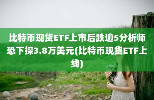 比特币现货ETF上市后跌逾5分析师恐下探3.8万美元(比特币现货ETF上线)