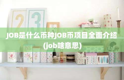 JOB是什么币种JOB币项目全面介绍(job啥意思)