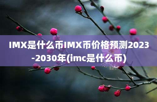 IMX是什么币IMX币价格预测2023-2030年(imc是什么币)