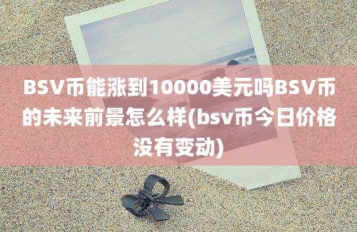 BSV币能涨到10000美元吗BSV币的未来前景怎么样(bsv币今日价格没有变动)