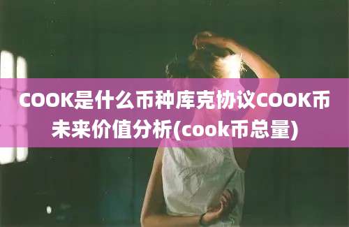 COOK是什么币种库克协议COOK币未来价值分析(cook币总量)