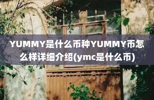 YUMMY是什么币种YUMMY币怎么样详细介绍(ymc是什么币)