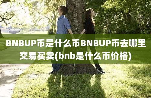 BNBUP币是什么币BNBUP币去哪里交易买卖(bnb是什么币价格)