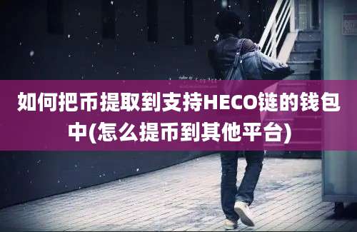 如何把币提取到支持HECO链的钱包中(怎么提币到其他平台)