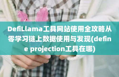 DefiLlama工具网站使用全攻略从零学习链上数据使用与发现(define projection工具在哪)