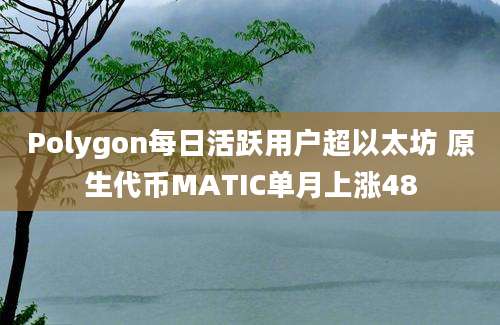 Polygon每日活跃用户超以太坊 原生代币MATIC单月上涨48