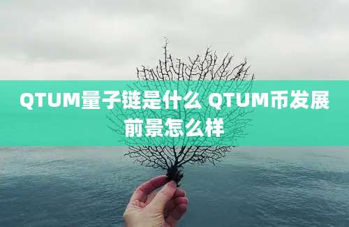 QTUM量子链是什么 QTUM币发展前景怎么样