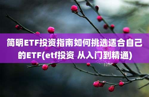 简明ETF投资指南如何挑选适合自己的ETF(etf投资 从入门到精通)