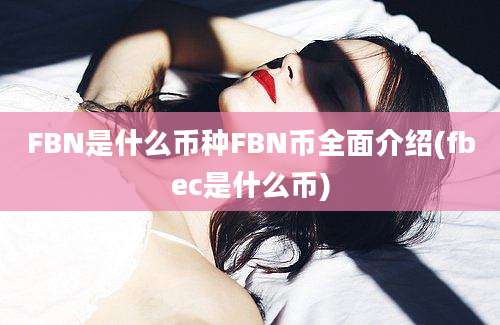 FBN是什么币种FBN币全面介绍(fbec是什么币)