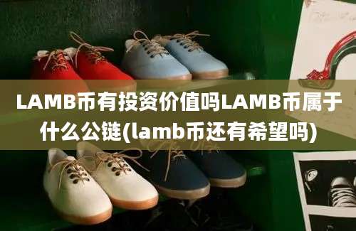 LAMB币有投资价值吗LAMB币属于什么公链(lamb币还有希望吗)