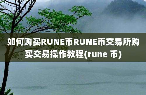 如何购买RUNE币RUNE币交易所购买交易操作教程(rune 币)