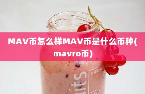 MAV币怎么样MAV币是什么币种(mavro币)