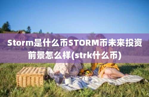 Storm是什么币STORM币未来投资前景怎么样(strk什么币)