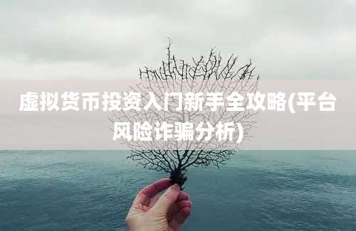 虚拟货币投资入门新手全攻略(平台风险诈骗分析)