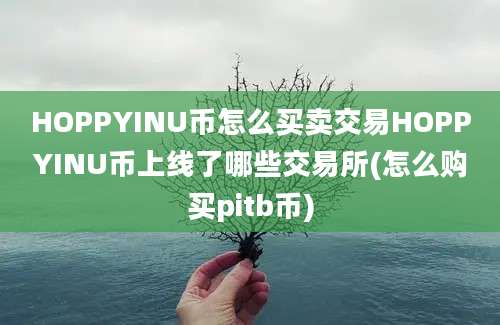 HOPPYINU币怎么买卖交易HOPPYINU币上线了哪些交易所(怎么购买pitb币)