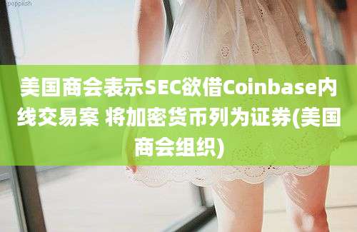 美国商会表示SEC欲借Coinbase内线交易案 将加密货币列为证券(美国商会组织)