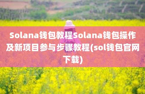 Solana钱包教程Solana钱包操作及新项目参与步骤教程(sol钱包官网下载)