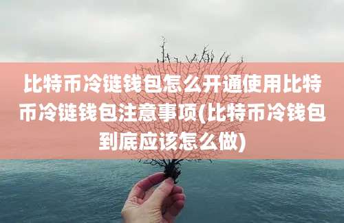 比特币冷链钱包怎么开通使用比特币冷链钱包注意事项(比特币冷钱包到底应该怎么做)