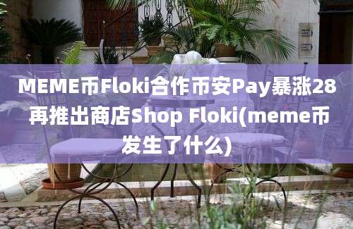 MEME币Floki合作币安Pay暴涨28 再推出商店Shop Floki(meme币发生了什么)