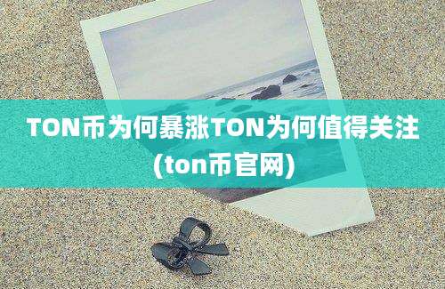 TON币为何暴涨TON为何值得关注(ton币官网)