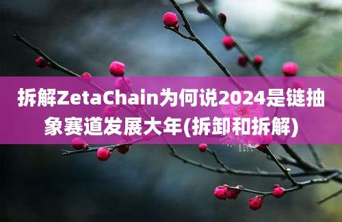 拆解ZetaChain为何说2024是链抽象赛道发展大年(拆卸和拆解)