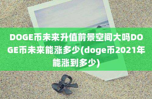 DOGE币未来升值前景空间大吗DOGE币未来能涨多少(doge币2021年能涨到多少)