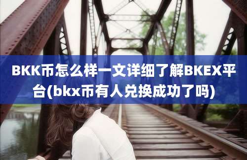 BKK币怎么样一文详细了解BKEX平台(bkx币有人兑换成功了吗)