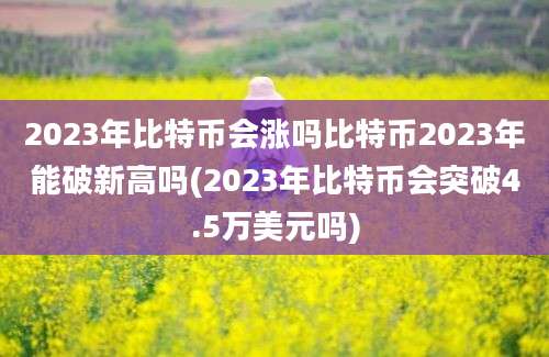 2023年比特币会涨吗比特币2023年能破新高吗(2023年比特币会突破4.5万美元吗)