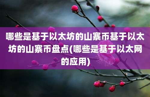 哪些是基于以太坊的山寨币基于以太坊的山寨币盘点(哪些是基于以太网的应用)