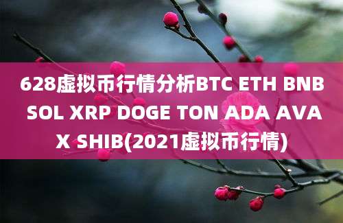 628虚拟币行情分析BTC ETH BNB SOL XRP DOGE TON ADA AVAX SHIB(2021虚拟币行情)