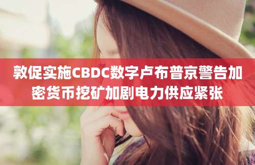 敦促实施CBDC数字卢布普京警告加密货币挖矿加剧电力供应紧张