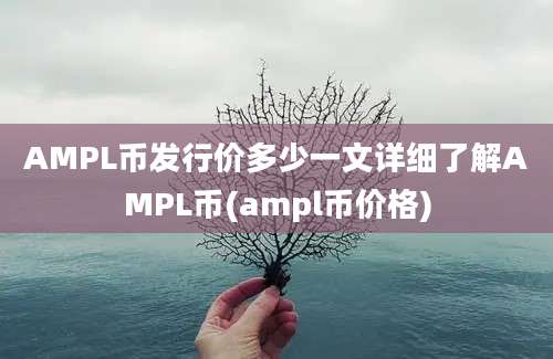 AMPL币发行价多少一文详细了解AMPL币(ampl币价格)